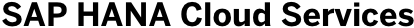 hanacloudservices-eu.accounts.ondemand.com logo